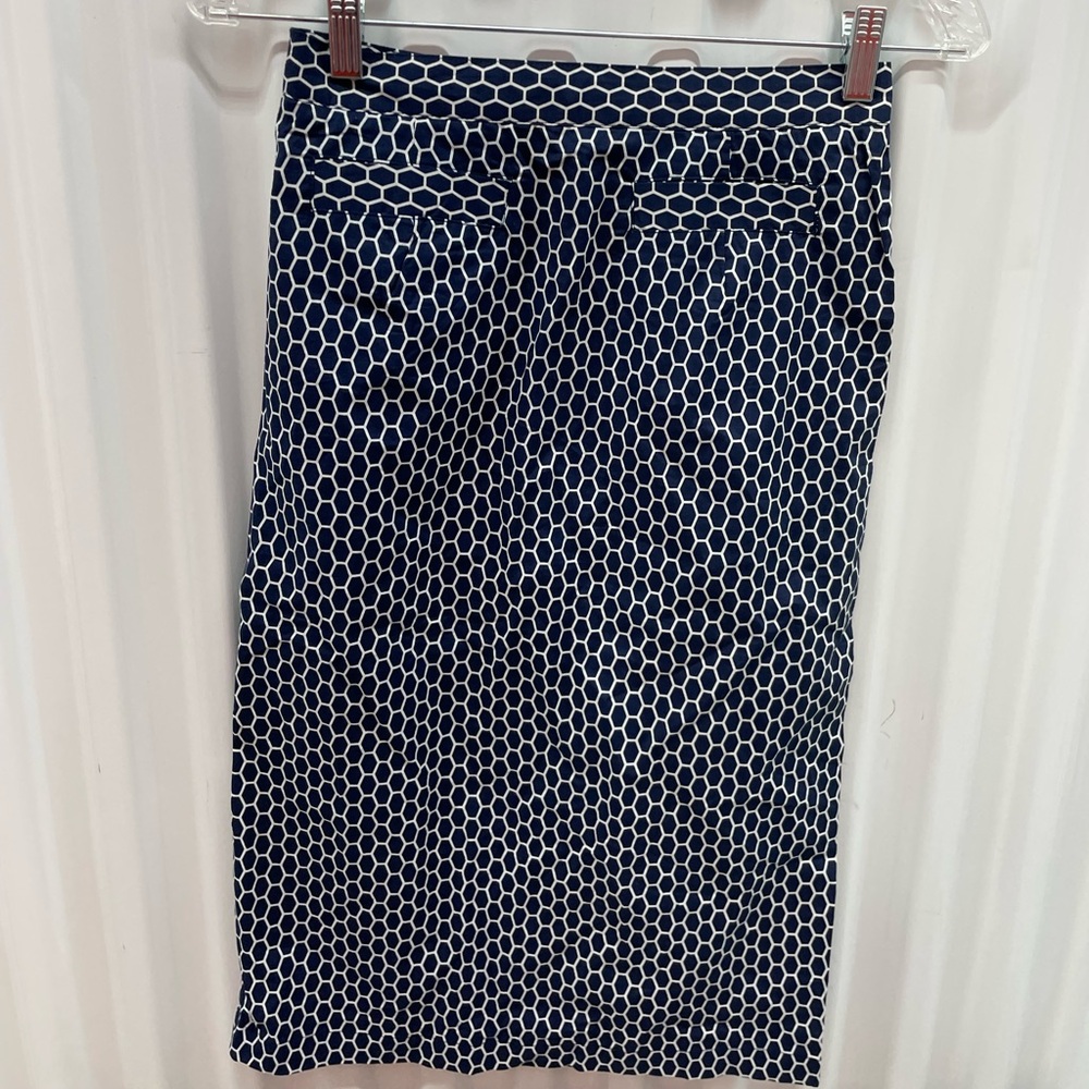 Brooklyn Industries Women’s Blue and White Cotton Skirt Size XS